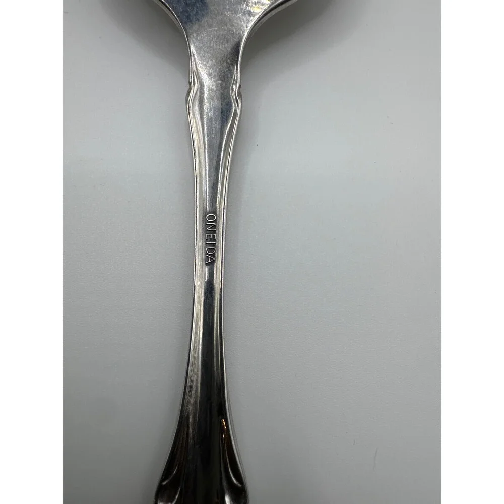 Oneida raphael stainless